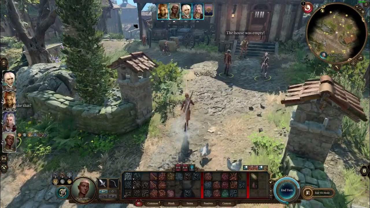 Monk baldur s gate. Monk baldur s gate