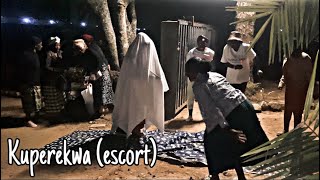 Lobola vlog part2 (kuperekwa) 💃🏼🐄💵💰