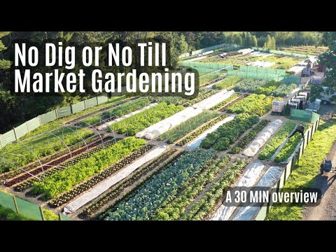 No-Dig / No-Till