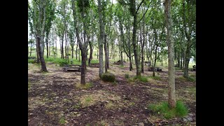 21 Km Fragoselo, Chandebrito, Monte Alba y vuelta.
