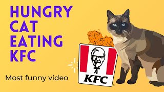 Cat eating KFC | Hungary cat | Cat mouth watering | Cat waiting for food | Cat brothers love by Only Oreo cat 58 views 3 years ago 1 minute, 25 seconds