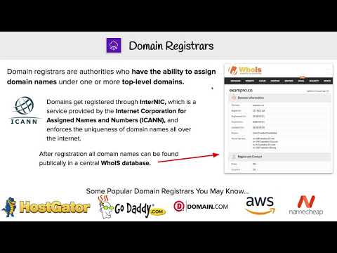 DNS - Domain Registars