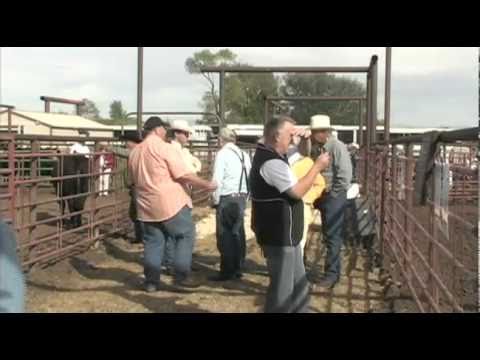camera iphone 8 plus apk National Angus Conference and Tour: President Bill Davis