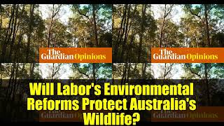 Will Labor's Environmental Reforms Protect Australia's Wildlife?