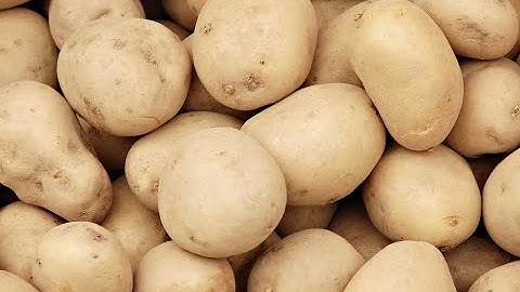 Raynbow: Potato Sorting 3-Way | RAYTEC VISION SpA