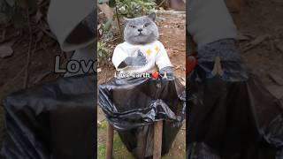 Love Earth😊, Say 'No' To Littering Anywhere!💪💖 #Funnycat #Catmemes #Trending