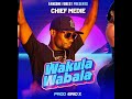 WAKULA WABALA BY CHIEF MEDIE MP3 #africanmusic #newmusic #dancehall #alienskin #chiefmedie