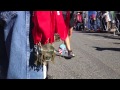 Run for the Troops 5k