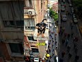 A missing dog was found alive… 13 floors up 😳 Follow for daily stories 🌍 #dog #rescue #australia