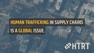 HTRT:  The Team Behind the Standard for Human Trafficking Data Exchange