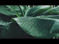 【睡眠促進】眠れない夜に雨音｜[Promosi tidur] Suara hujan di malam tanpa tidur