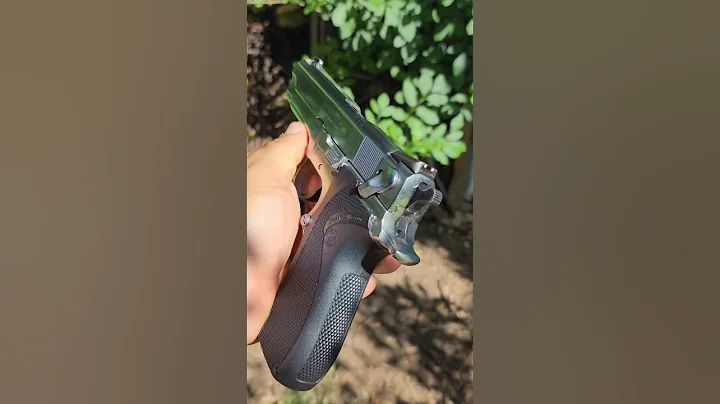 Smith & Wesson Model 5906 #viral  #goviral  #trending #youtube  #foryou #shorts #fyp