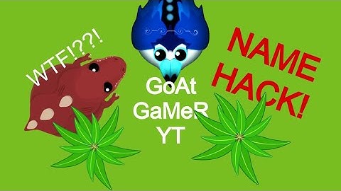 Mope.io so called name hack reveal_ Trick made easy