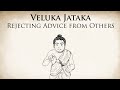 Rejecting advice from others  veluka jataka   animated buddhist stories