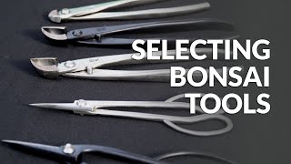 Bonsai Tools