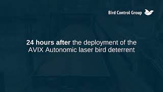 Grain Barge & Processing Facility before and after the AVIX Autonomic laser bird deterrent