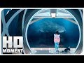 Мегалодон напал на подводную базу - Мег: Монстр глубины (2018) - Момент из фильма