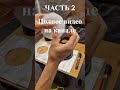 Светоловушка в гроубокс #гидропоника #dwc #выращивание #ситиферма #diy #вентиляция