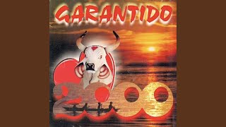 Video thumbnail of "Boi Bumbá Garantido - Eterno Campeão"