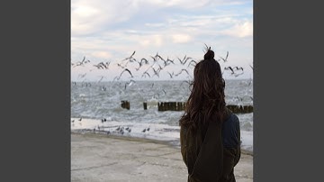 Smart Koto and Strings - Vibe for Stress Relief