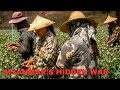 Myanmar’s Hidden War: Inside the Billion-Dollar Economy Fueling the Conflict