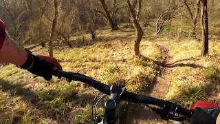 Mountain Biking in West Virginia: BEECH FORK STATE PARK