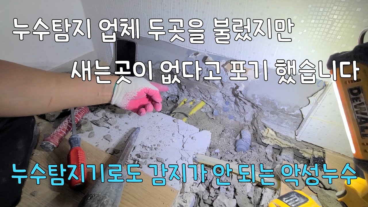 281회.  두업체에서 포기한 악성누수! 누수탐지기로도 감지가 안되는 누수를 어떻게 해결 할 수 있을까?  (용인누수현장)