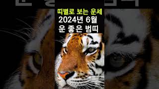 띠별운세! 2024년 6월 호랑이띠운세! 대박나는 호랑이띠운세! 갑진년 6월 한달운세!