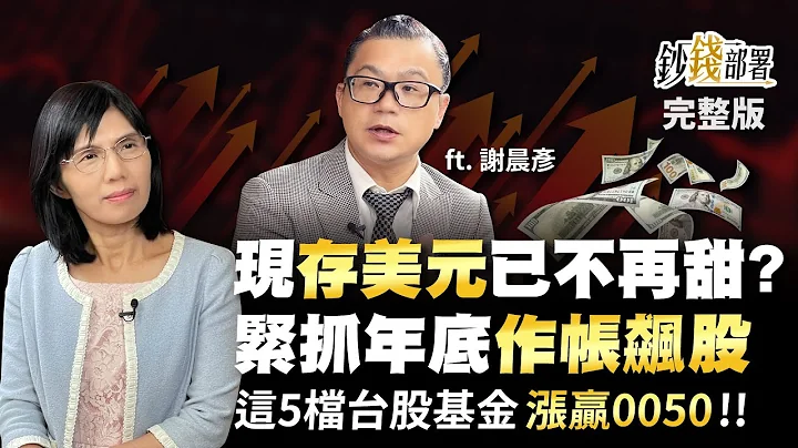 現"存美元"已不再甜?緊抓年底"作帳飆股" 這5檔台股基金漲贏0050!!《鈔錢部署》盧燕俐 ft.謝晨彥 20221124 - 天天要聞