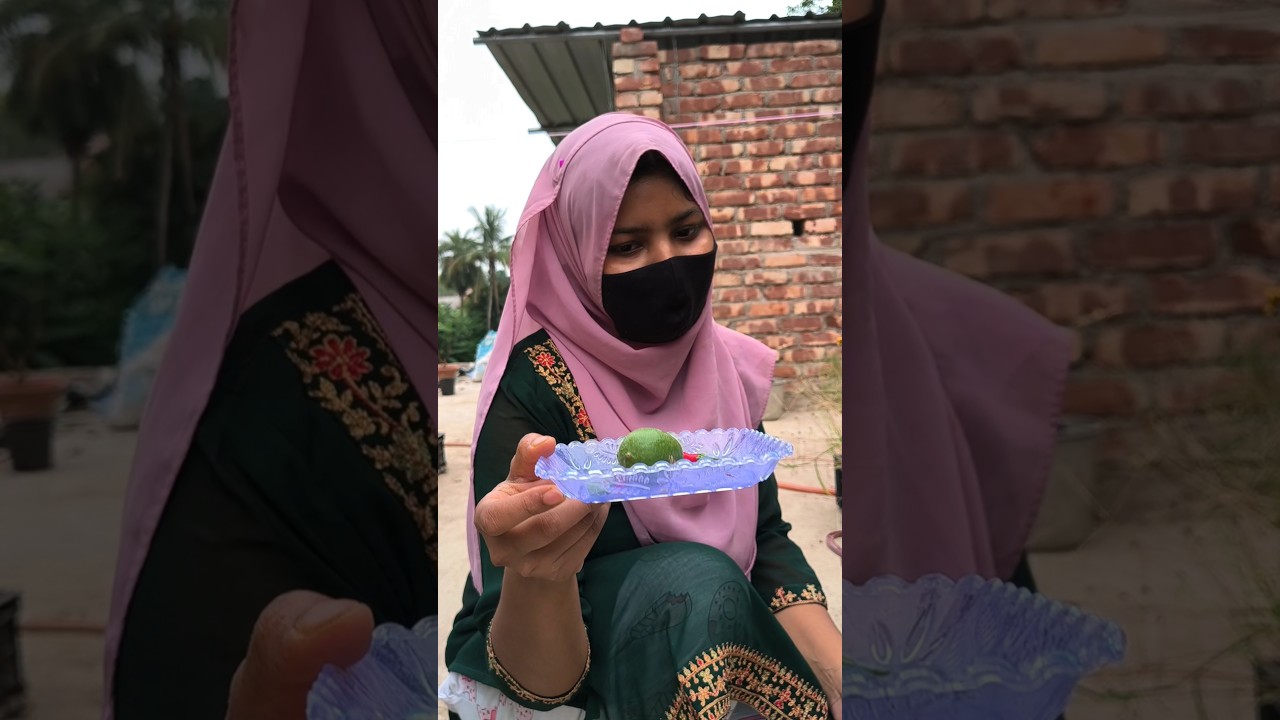 ছাদ বাগানের সবজি হারভেস্ট করলাম🤗♥️ #shorts #ytshorts #gardening #harvest