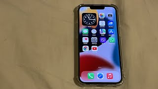 iPhone incoming calls doesn't shows the Caller's Name - iPhone 13 Pro Faults screenshot 3