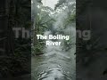 This River Can Boil Animals Alive 😳🔥