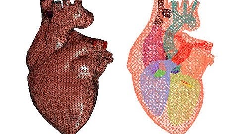 Jessica Zhang: Image Modeling for Biomedical Organs