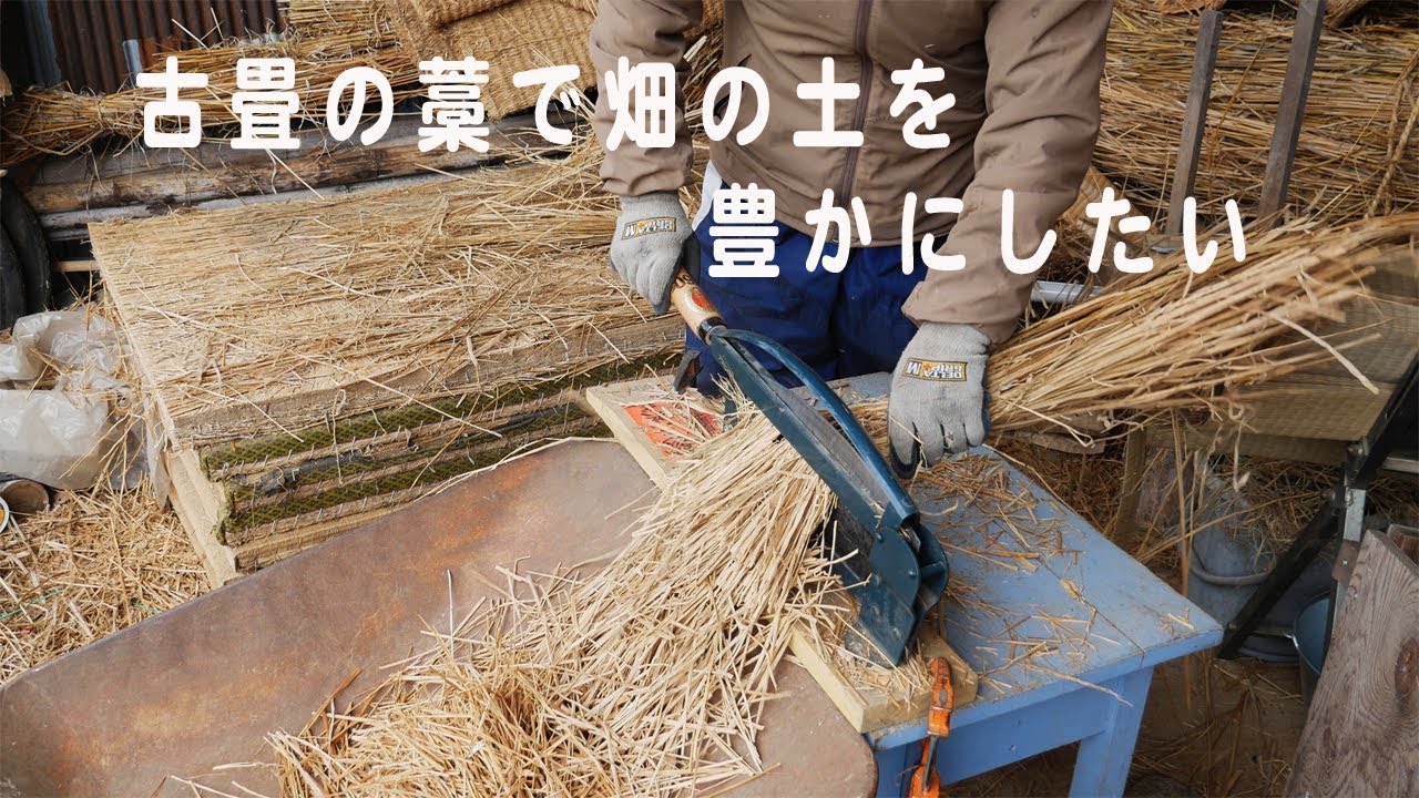 古畳で土を豊かに・バラして刻んで敷き藁や堆肥に - YouTube