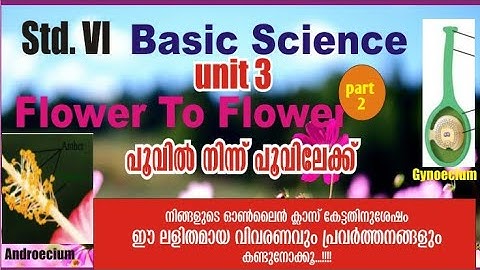 |VICTERS|STD6|BASIC SCIENCE|PART 2|UNIT 3|FLOWER TO FLOWER|POOVIL NINN POOVILEKK|