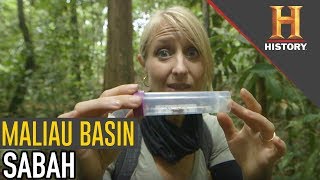 #4 Mud, Mayhem And Motorcycle Muscle | Ride N' Seek: Borneo (S2) | History