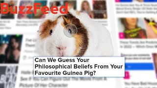 Buzzed Quizzes at 3am NOT GONE WRONG