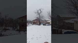 Zonguldak Oyun Havalari Eşli̇ği̇nde Celal Yaylacinin Kar Görüntüleri̇ Ormanli Sali̇m Youtube Kanalinda