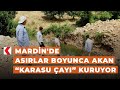 Mardin'de asırlar boyunca akan “Karasu Çayı” kuruyor