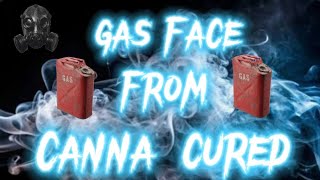 ⛽️ Trying Gas Face from CANNA CURED🔥#freetheplant #420community #thcareview #exotic #420 