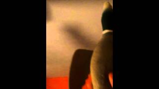 Duckfan haiku edition