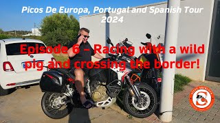 Episode 6: 2024 tour racing a wild pig and crossing the border