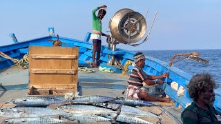 தங்கு கடலில் இரண்டாம் நாள் பிடித்த சவரன் ஷீலா மீன்கள் | Awesome we caught WAHOO Fish's