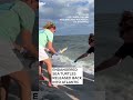 Rehabilitated sea turtles released in Cape Cod