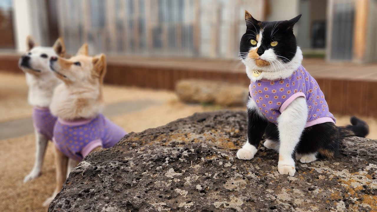 나렝아치 주말 수다방🧡