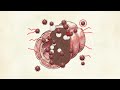 The Primal Mechanics of Digestive Harmony