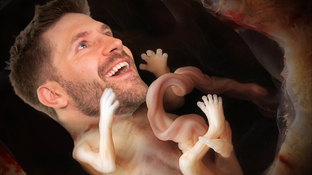 Stem-Cell Cloning Breakthrough