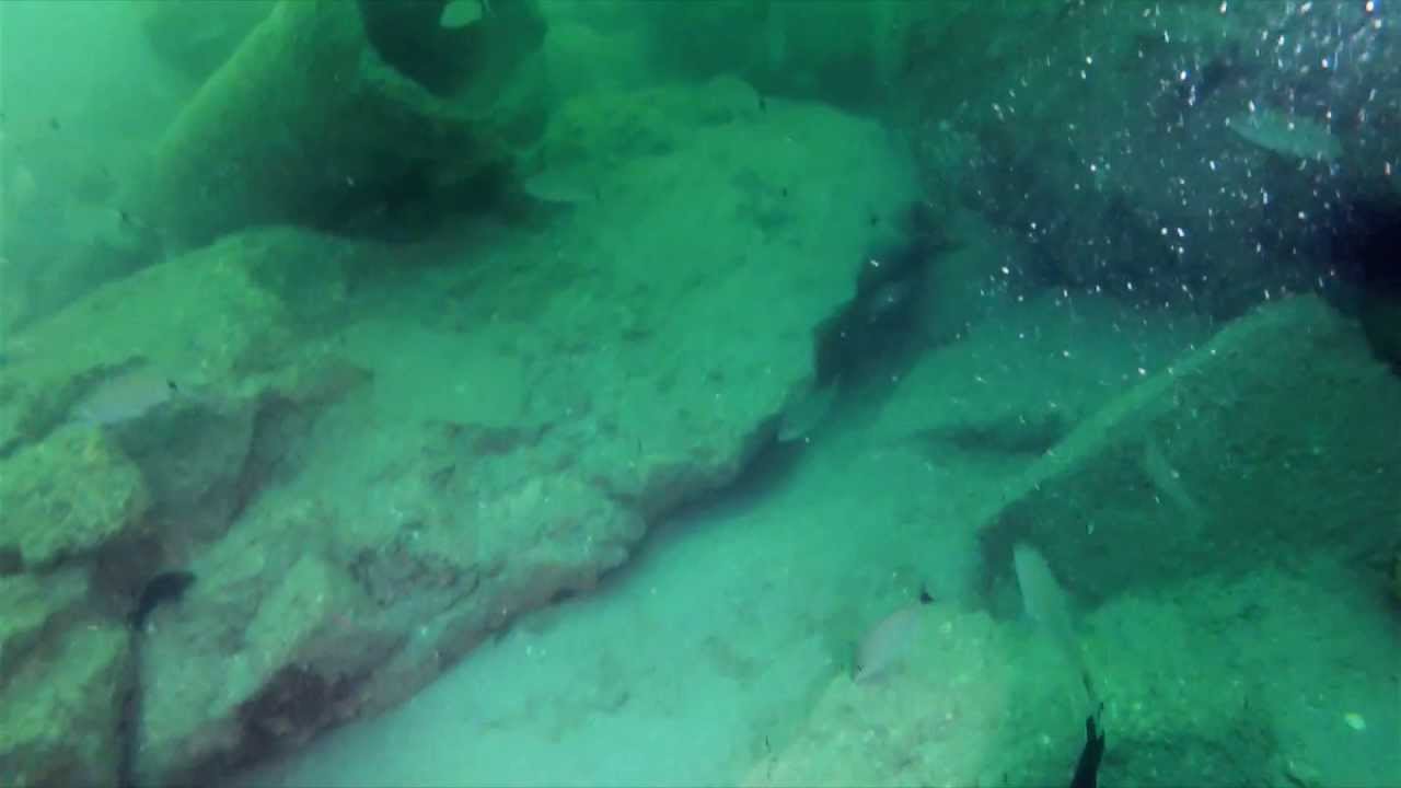 Video survey of Volusia County Artificial Reef Site 3 by Dave YouTube