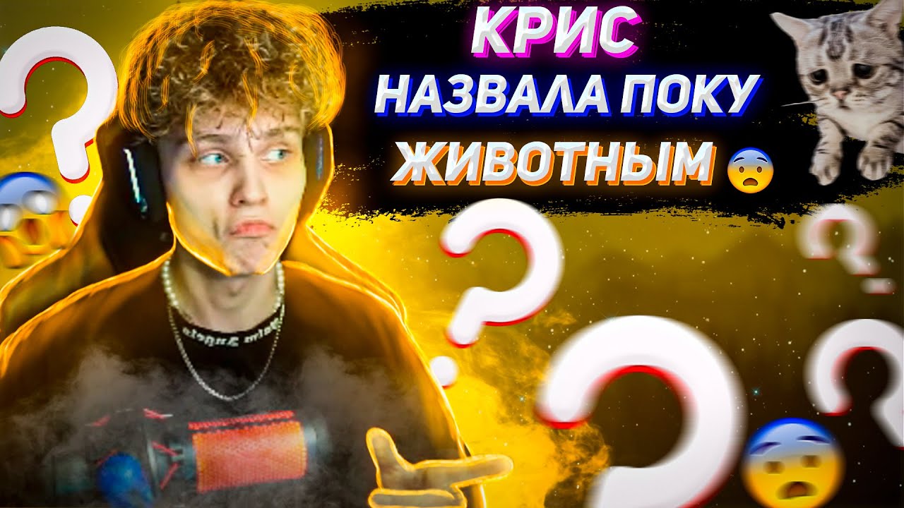 КРИС назвала ПОКУ животным \ POKA горит в КС - YouTube