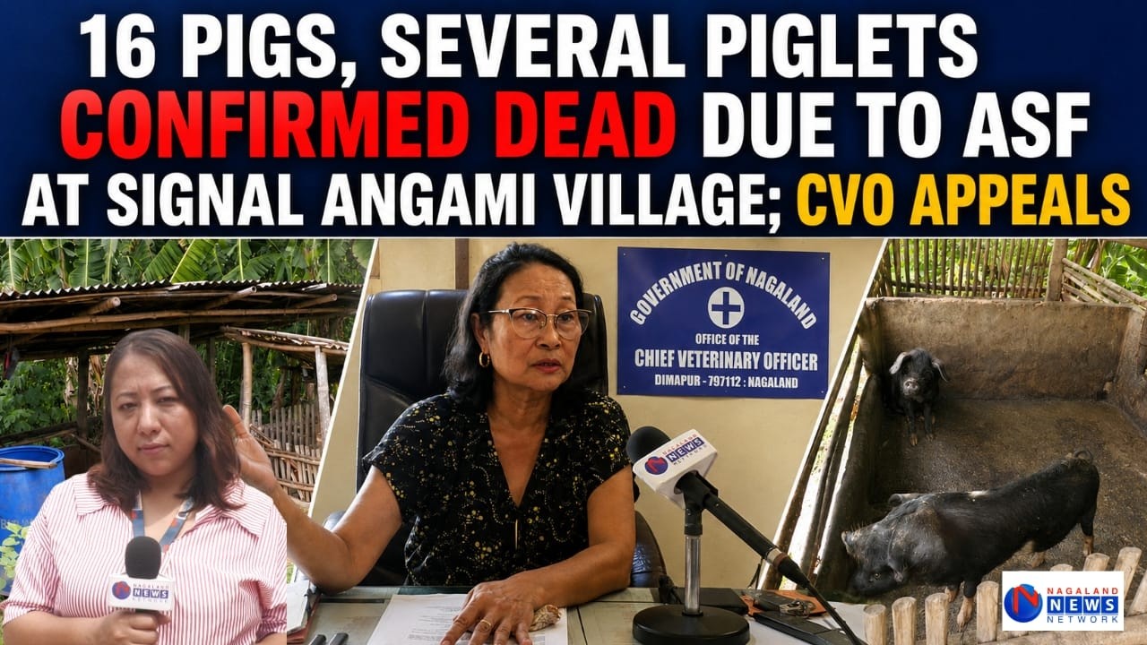 SUSPECTED CASES GO UNREPORTED; PIG REARERS/SELLERS WARNED ON SALE OF SICK PIGS